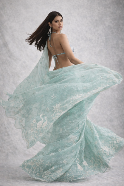 Baby Blue Embroidered Organza Saree