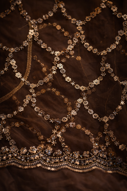 Golden Ember Sequin Saree