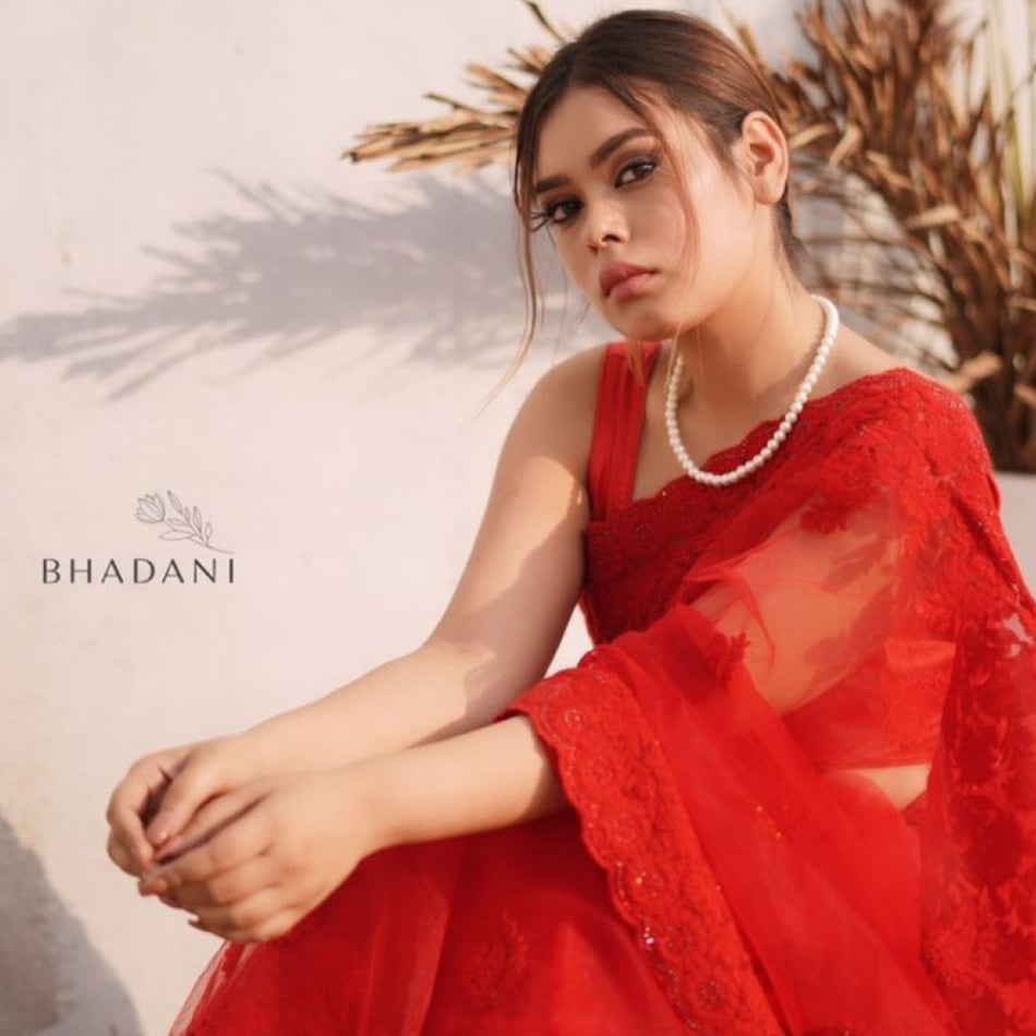 Red Threadwork Net Saree